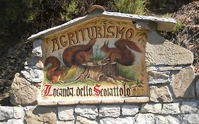 Lo Scoiattolo
